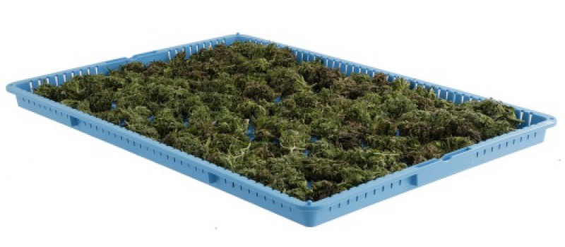 Metro WavDri Cannabis Drying Tray, Model DT1826-P 