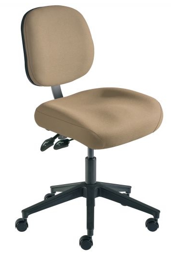 biofit eer egonomic chair